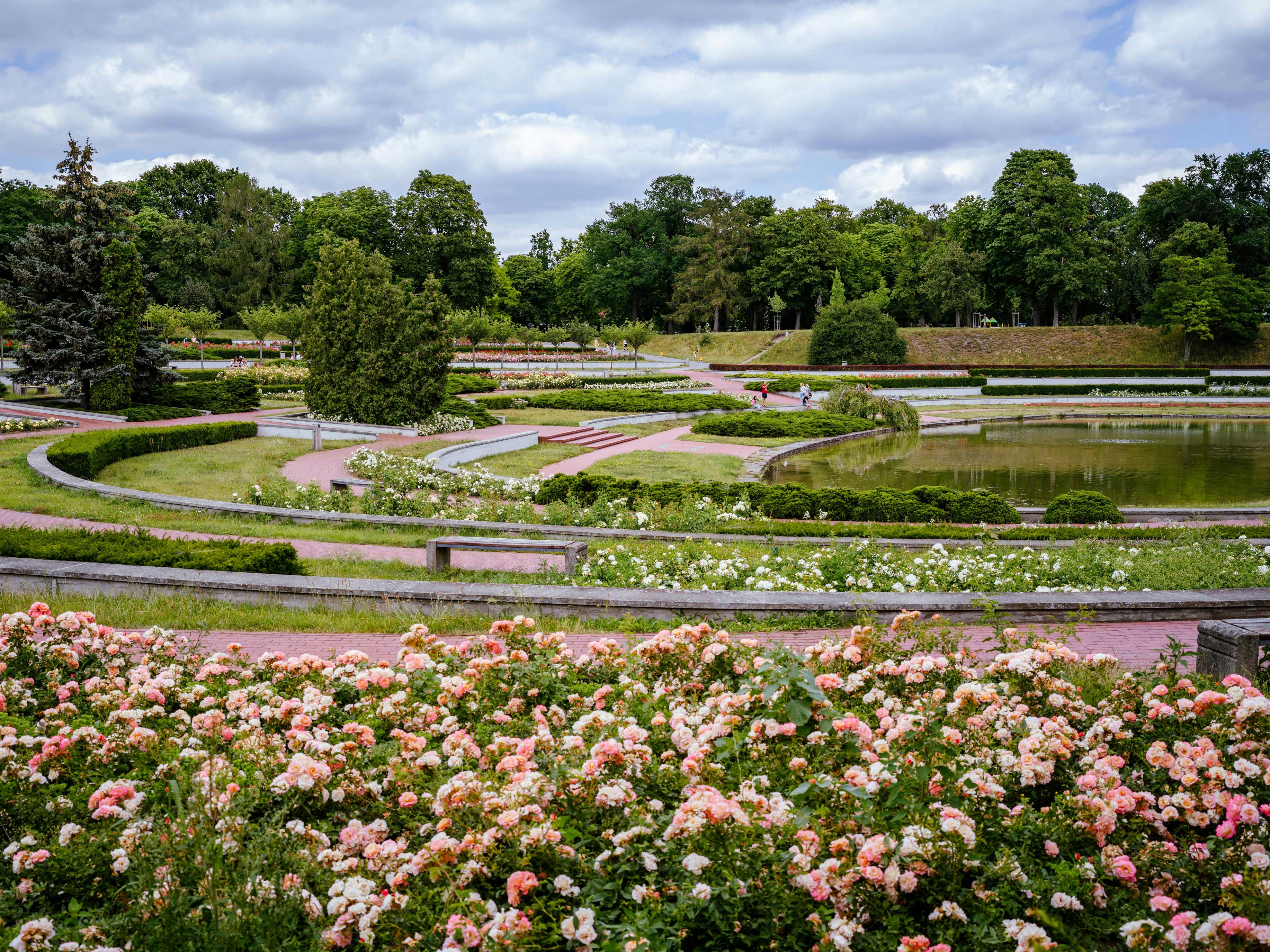 Job Hopper