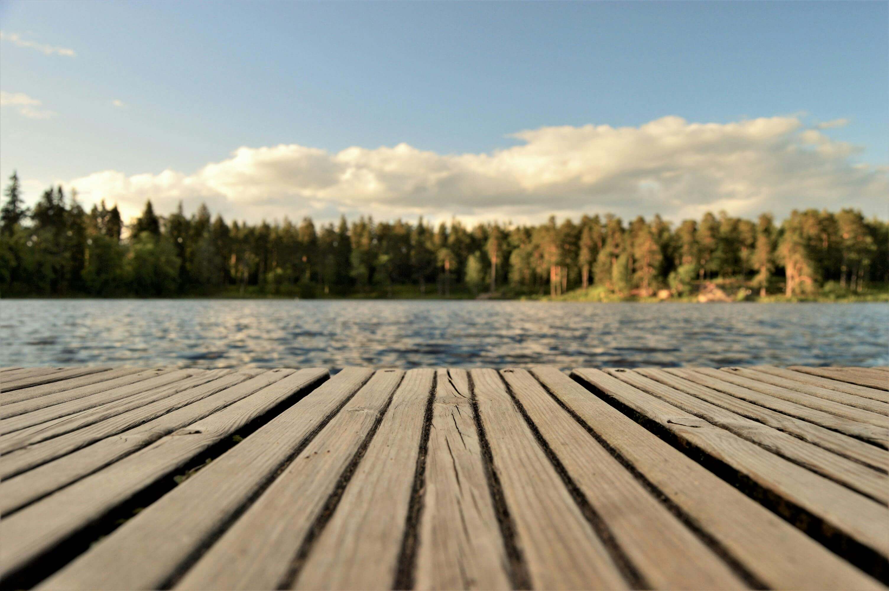 Job Hopper