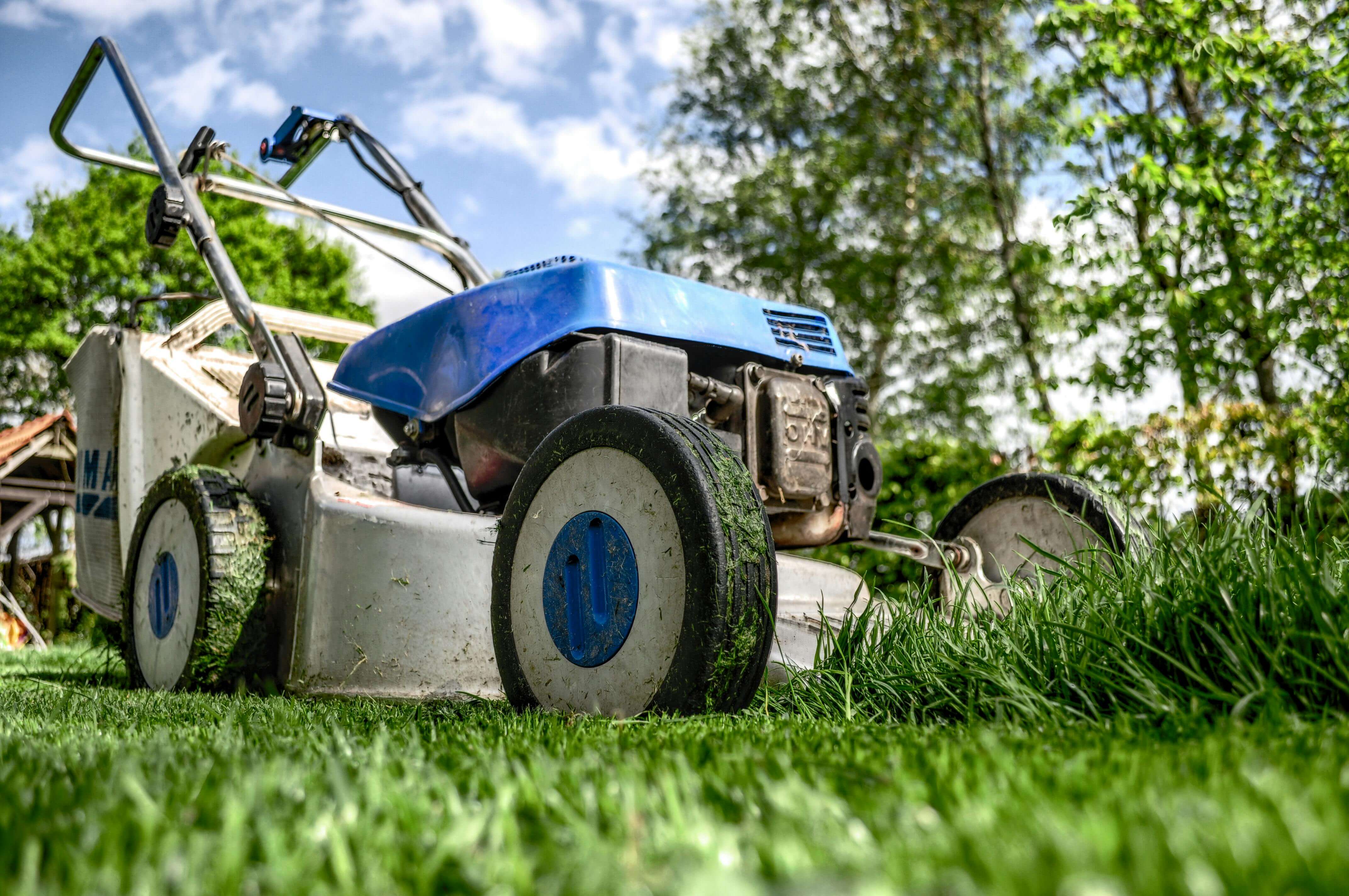 Job Hopper