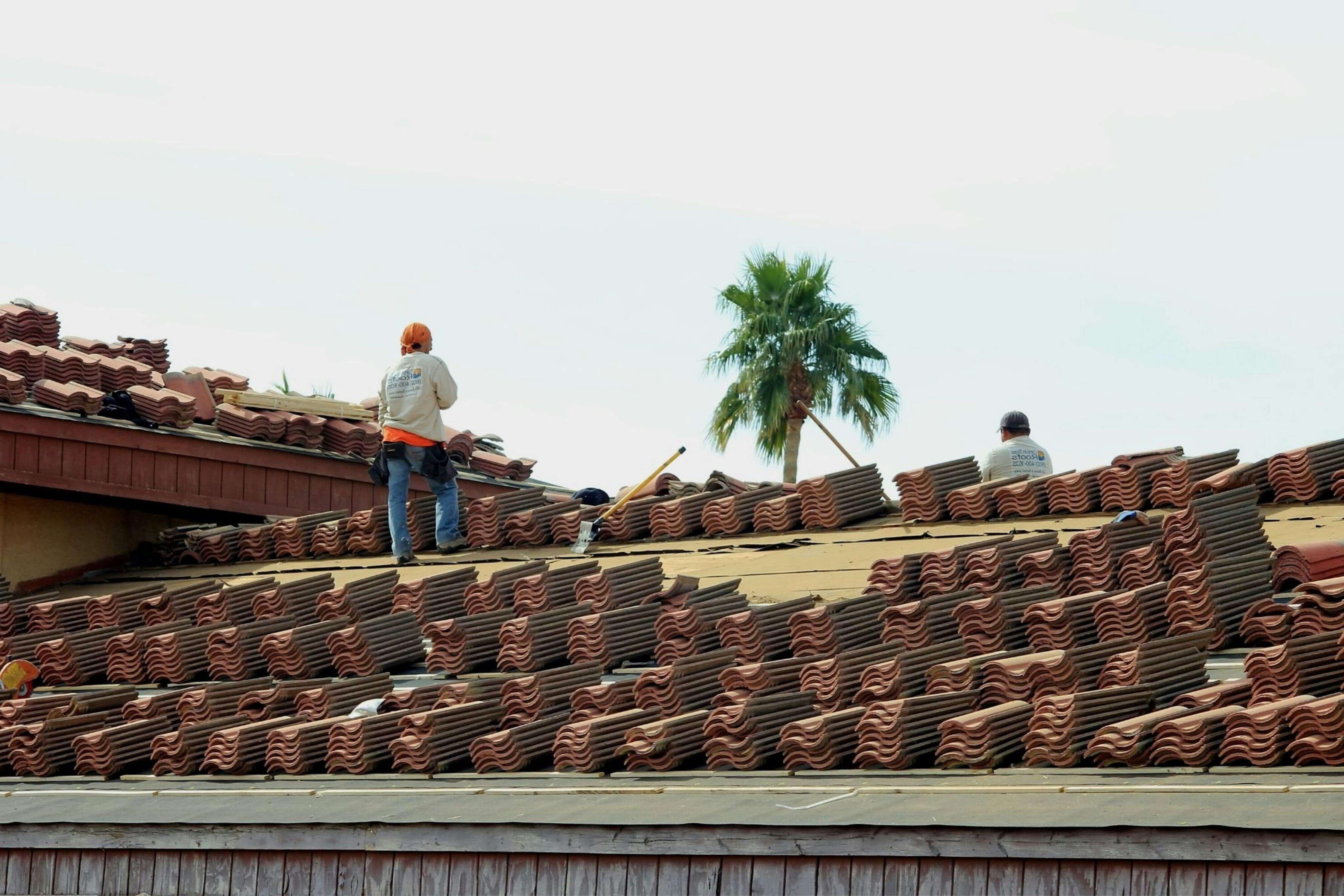Job Hopper