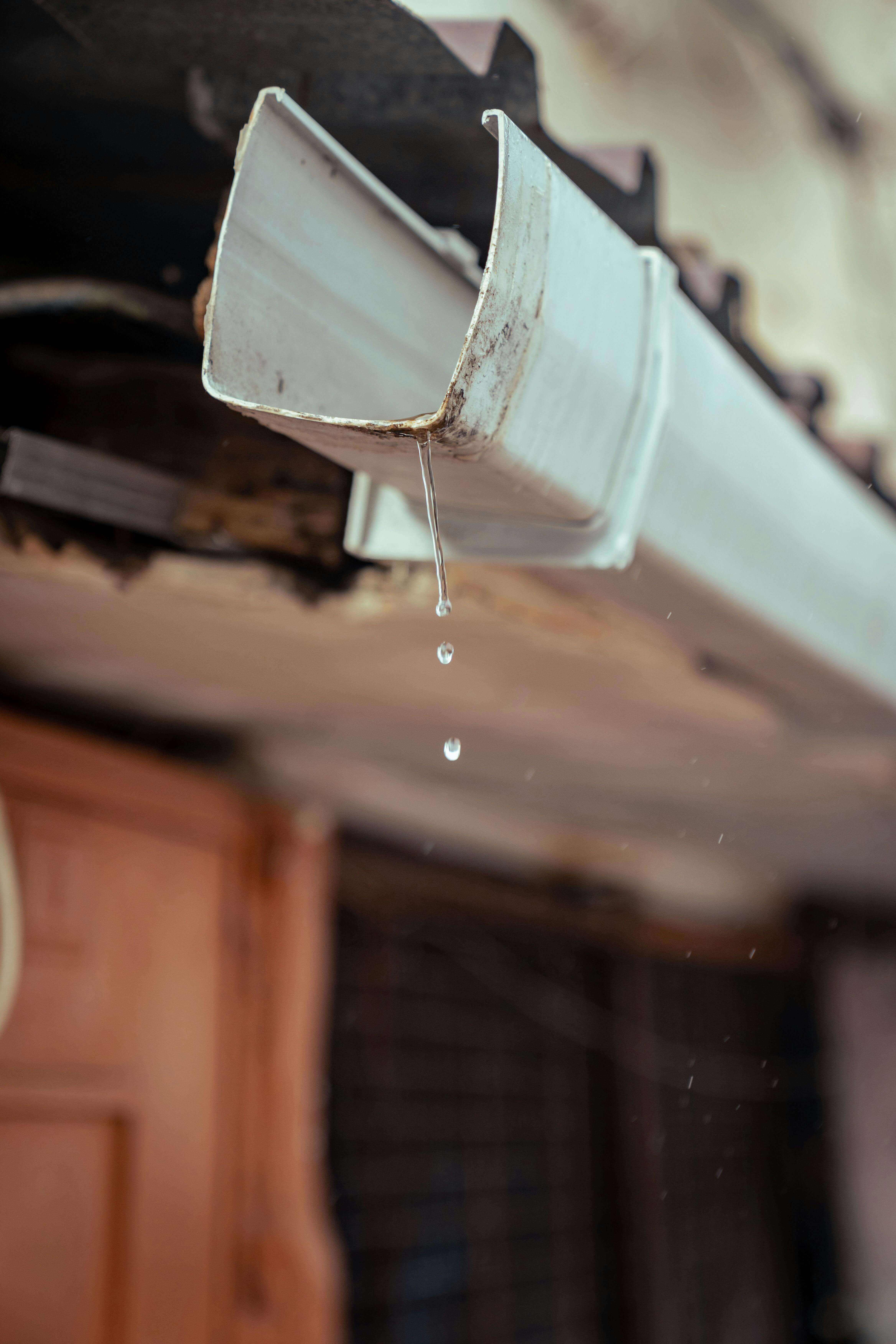 Job Hopper