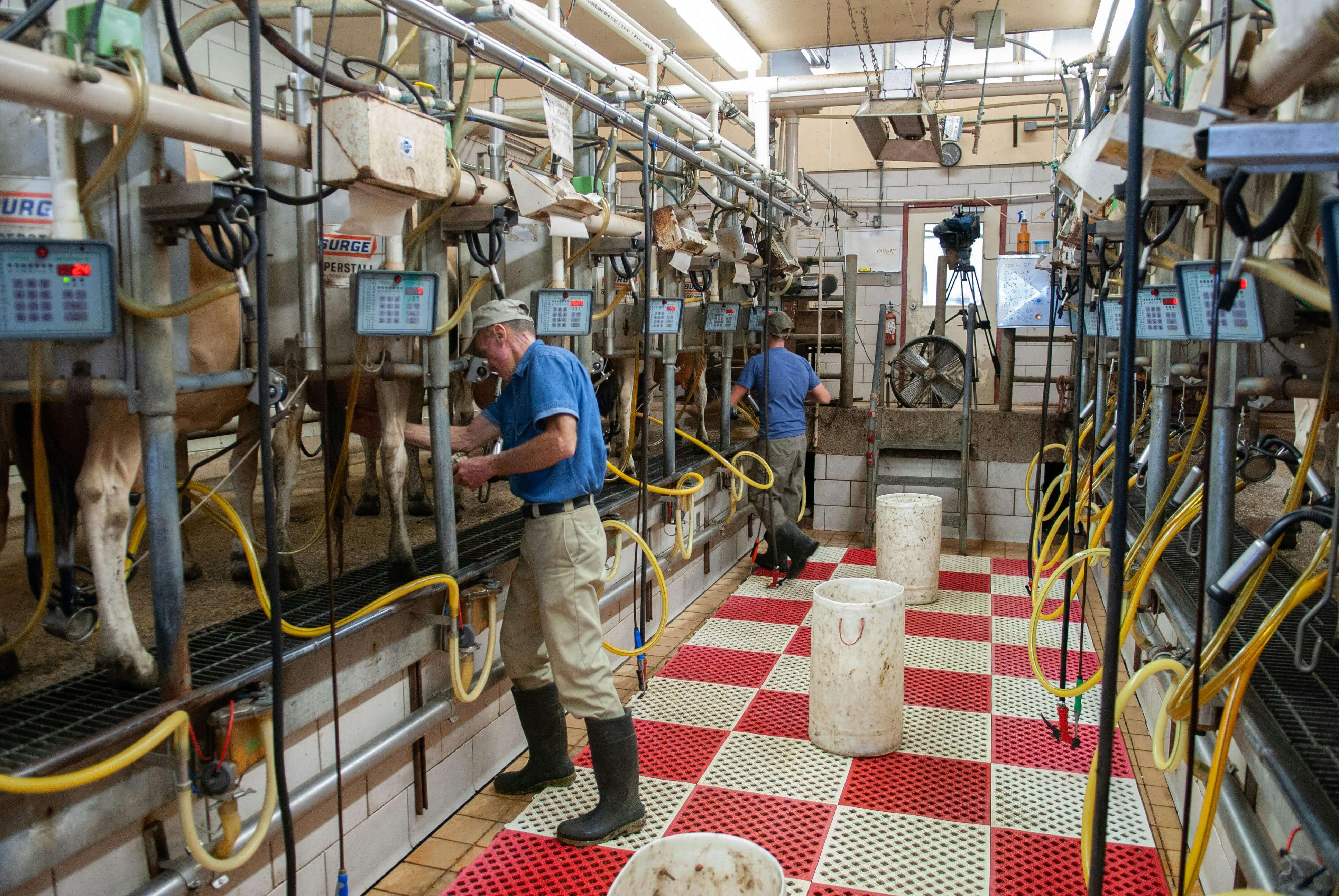 Job Hopper