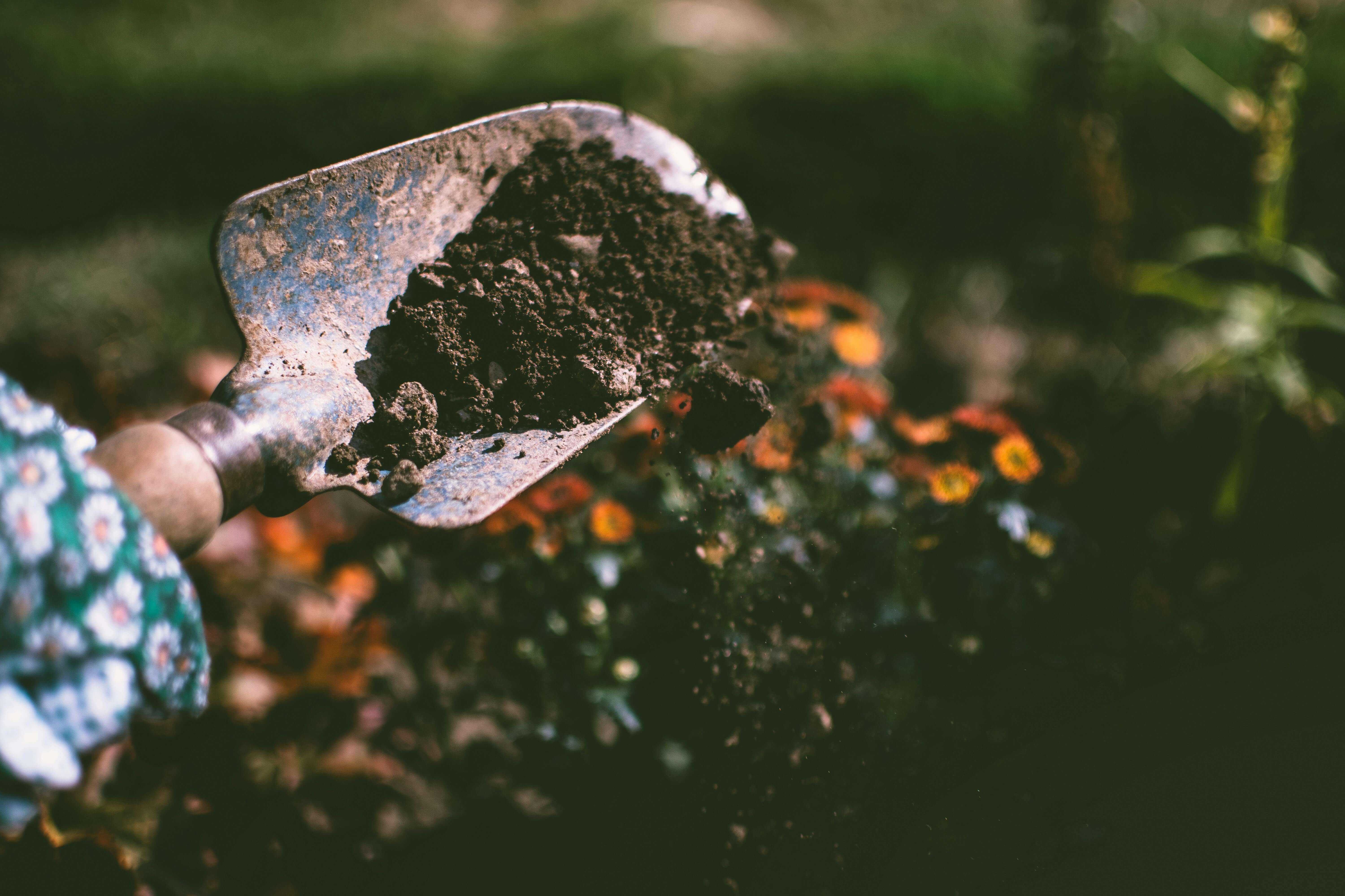 Job Hopper