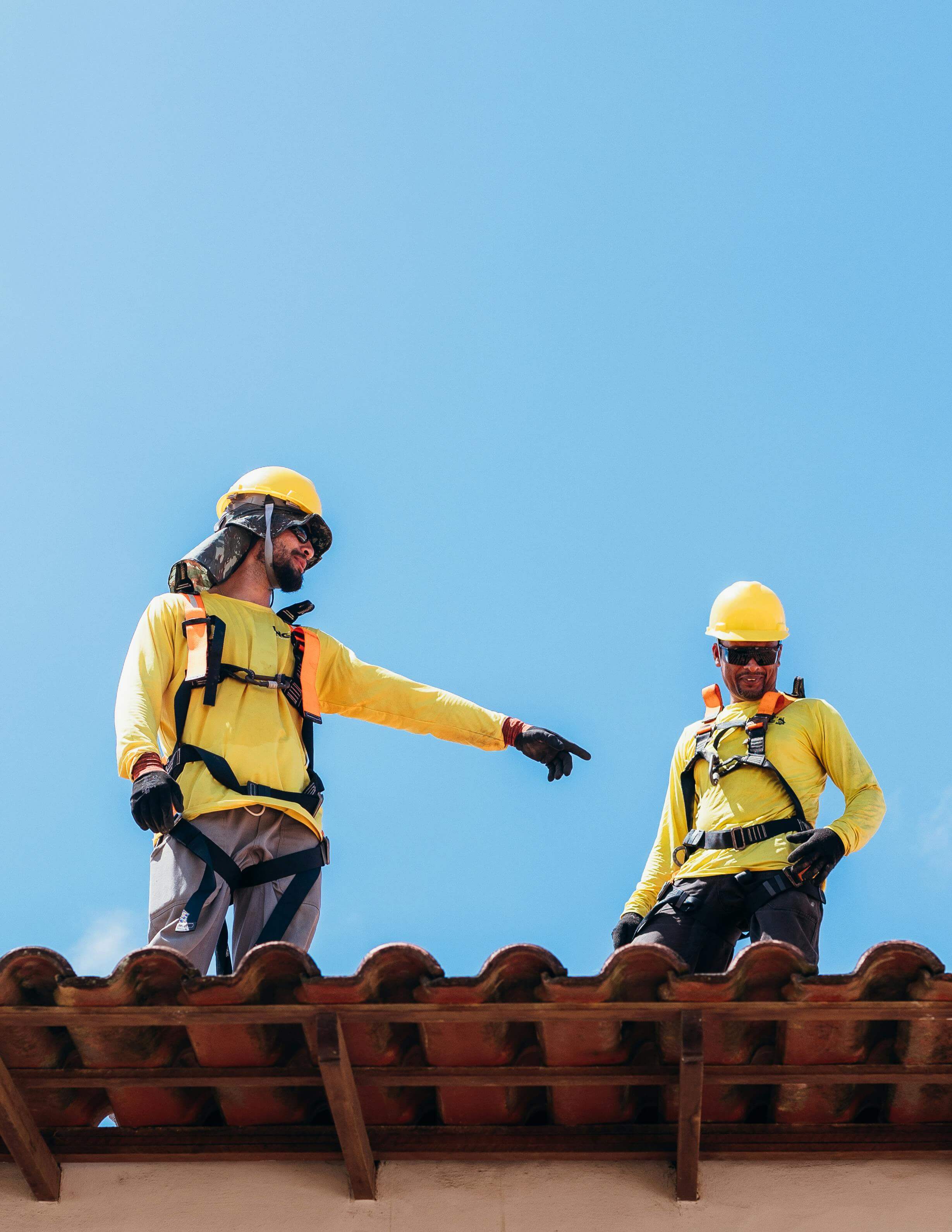 Job Hopper