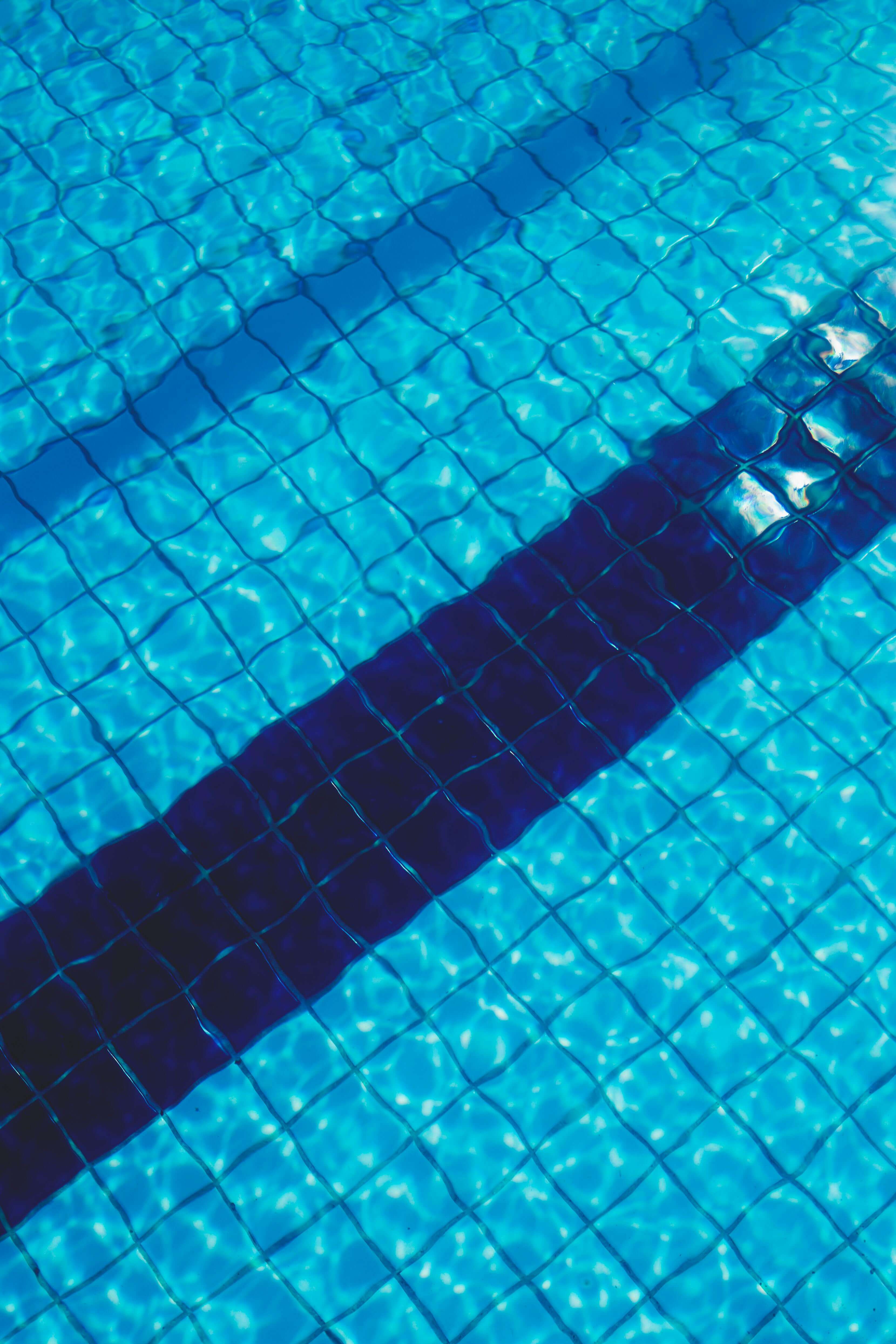 Job Hopper
