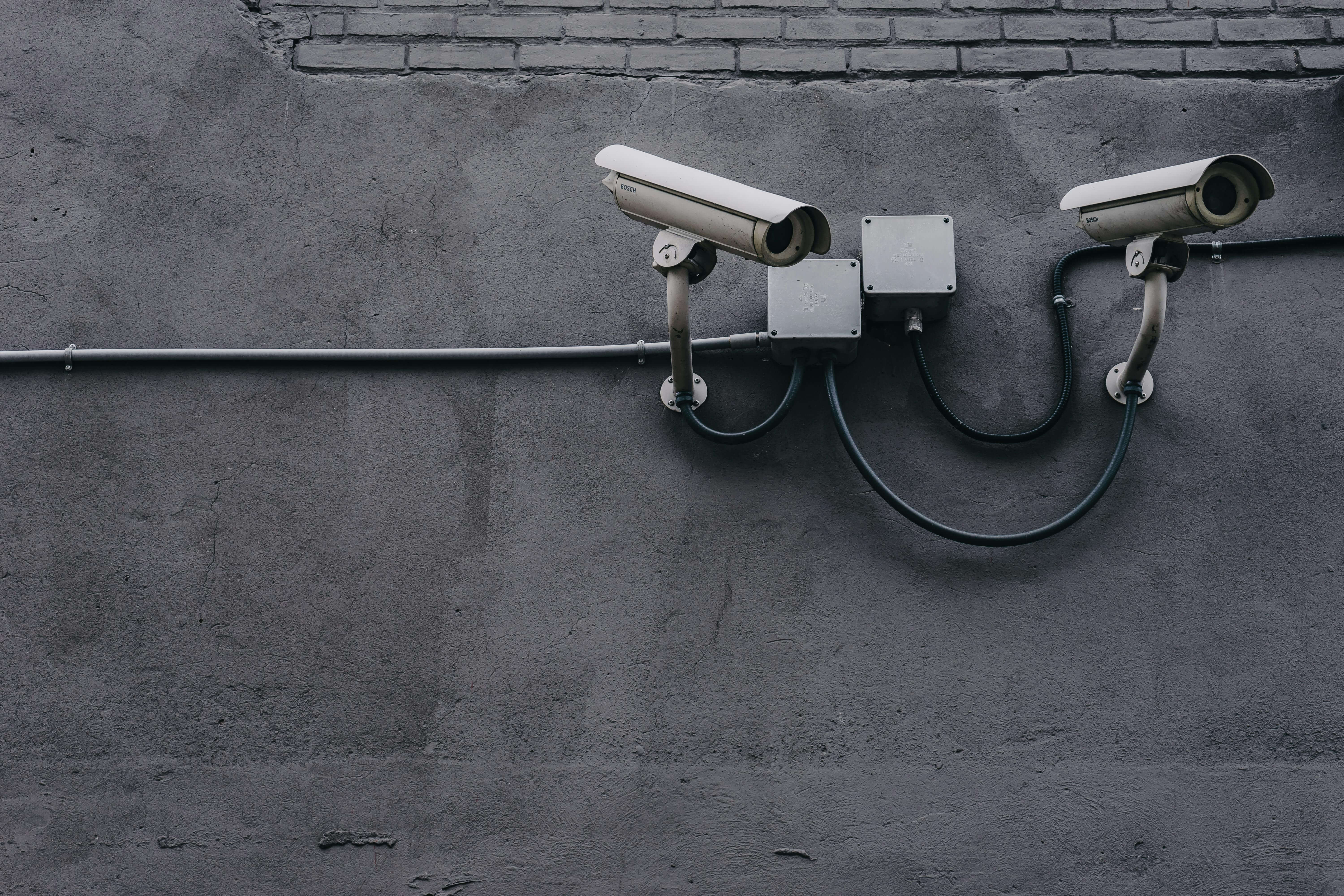 Job Hopper