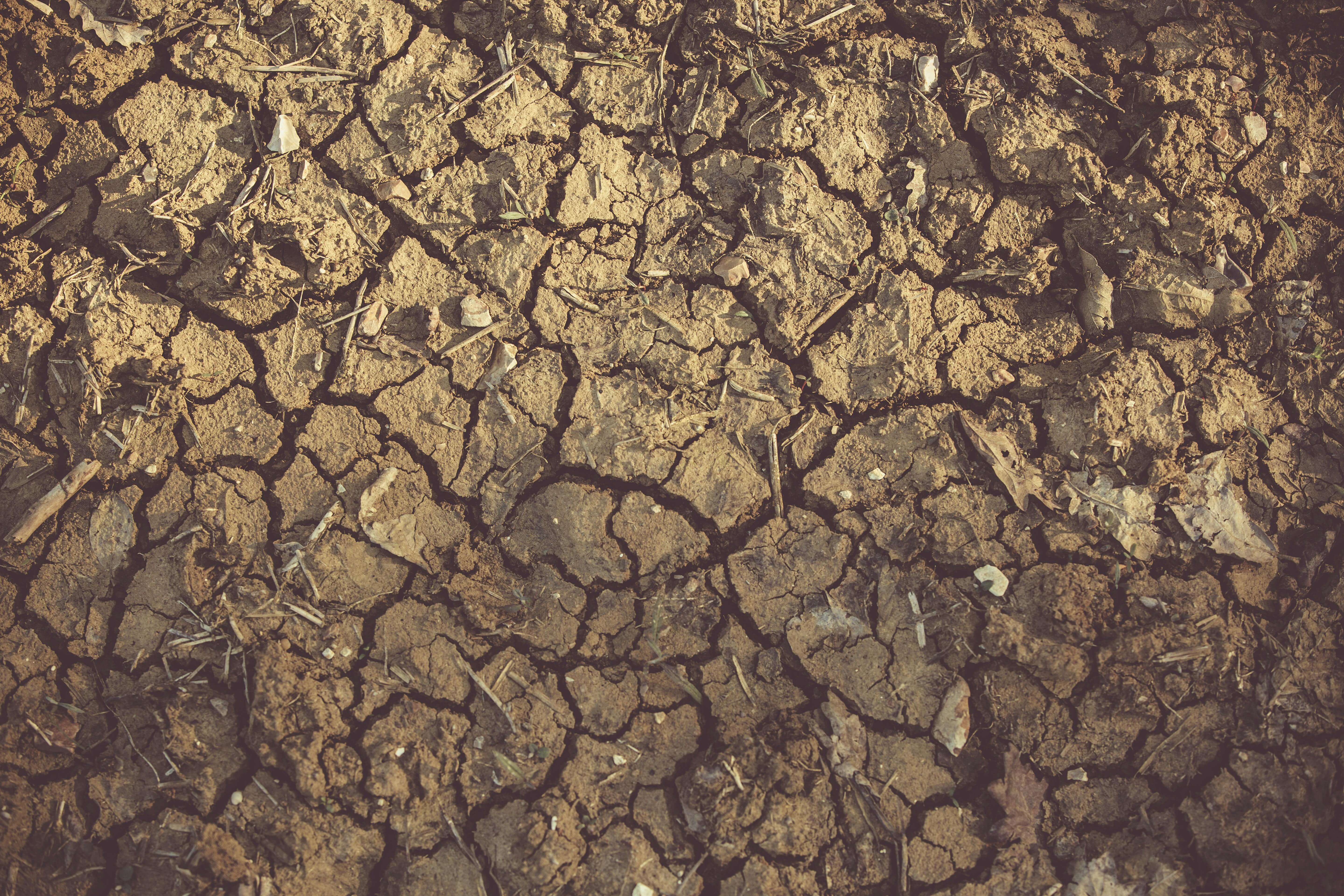 Job Hopper