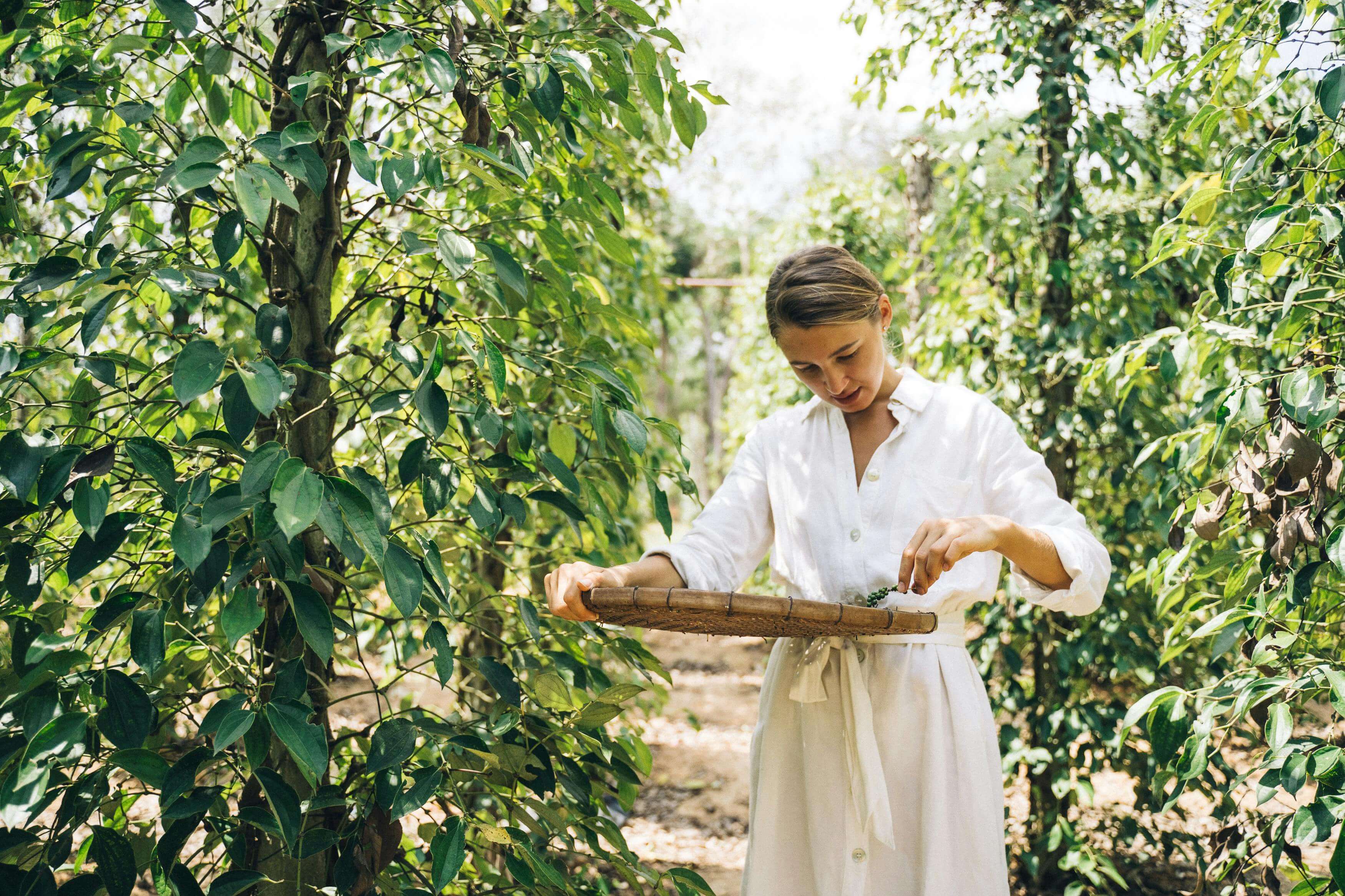 Job Hopper