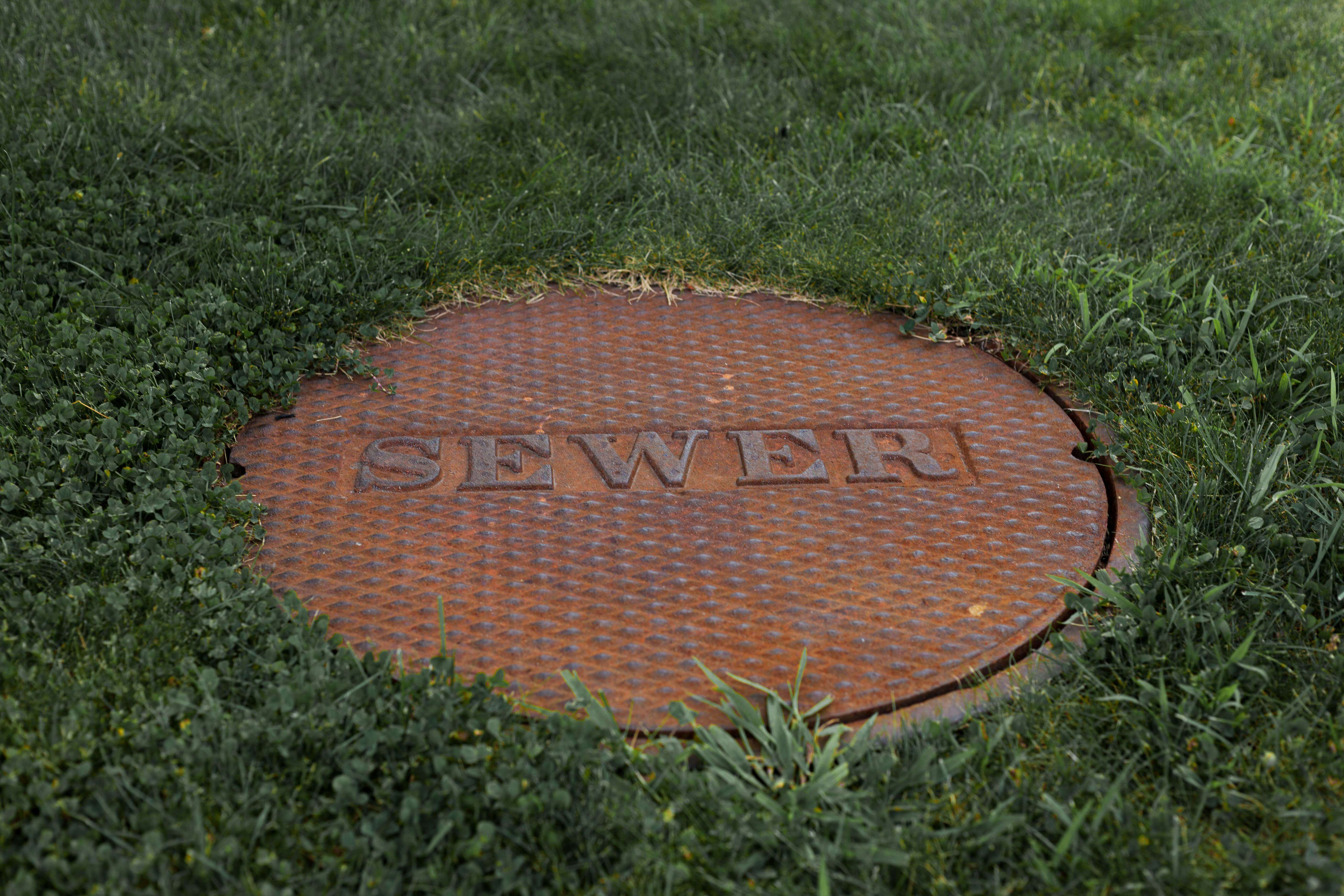 Job Hopper