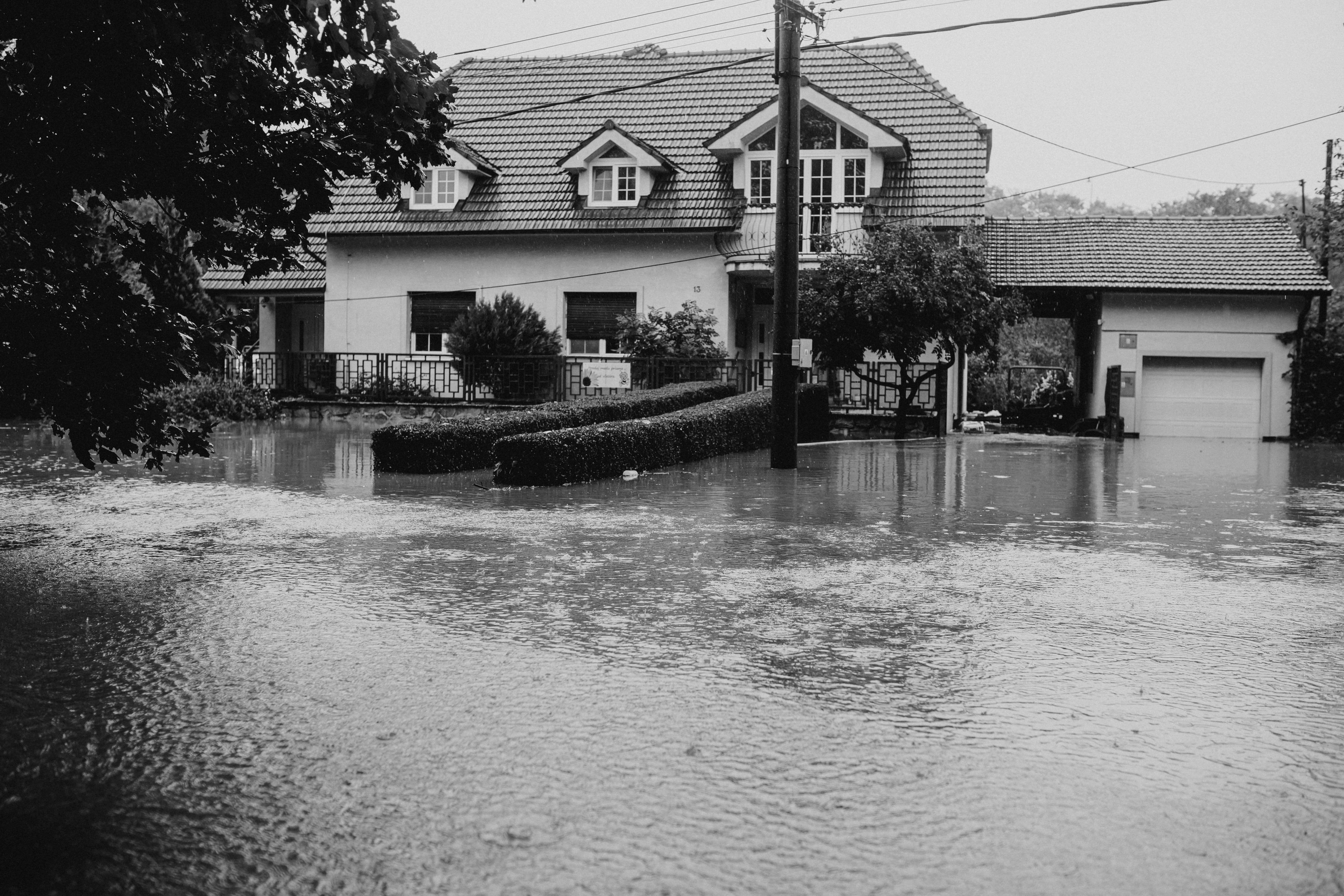 Job Hopper
