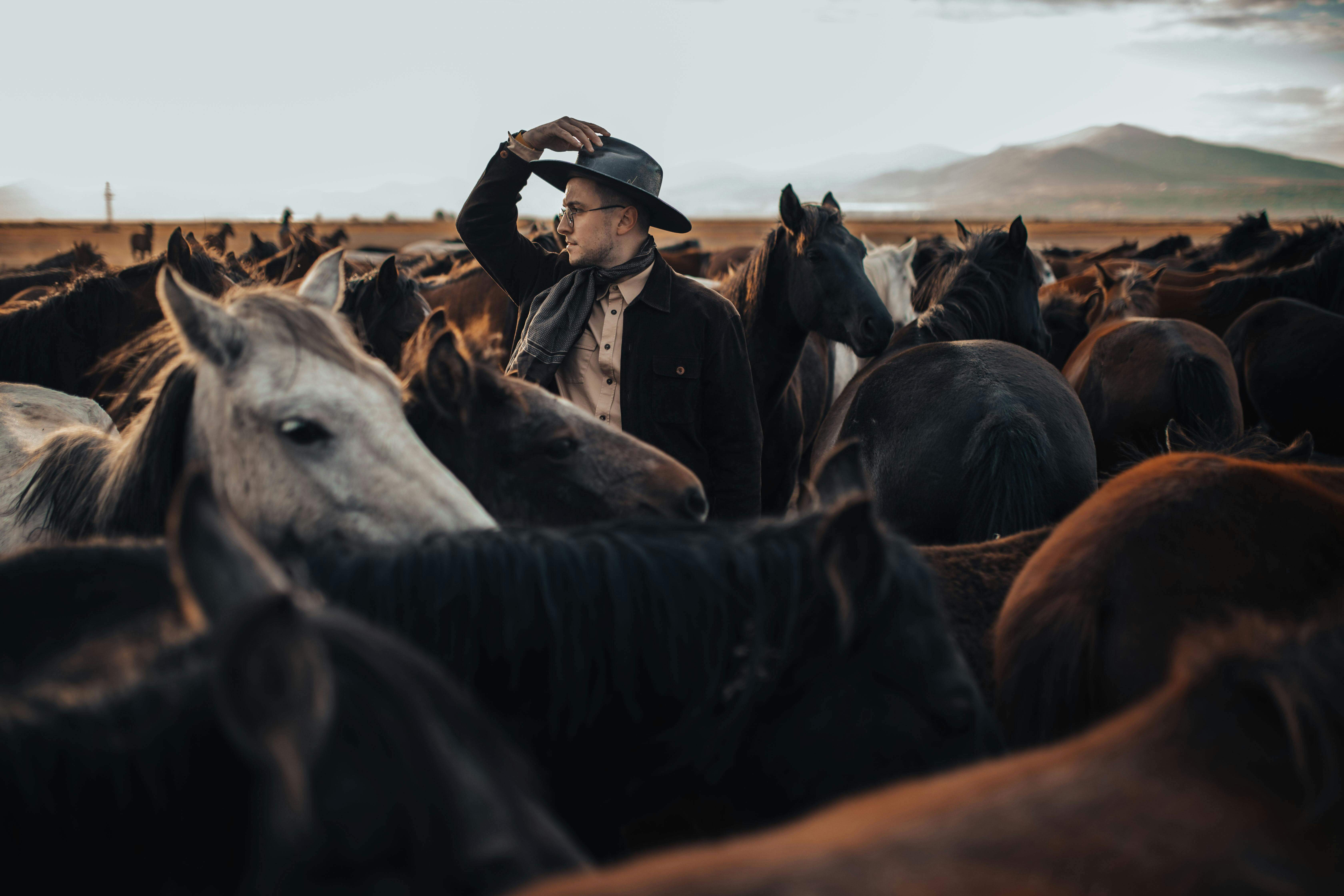 Job Hopper