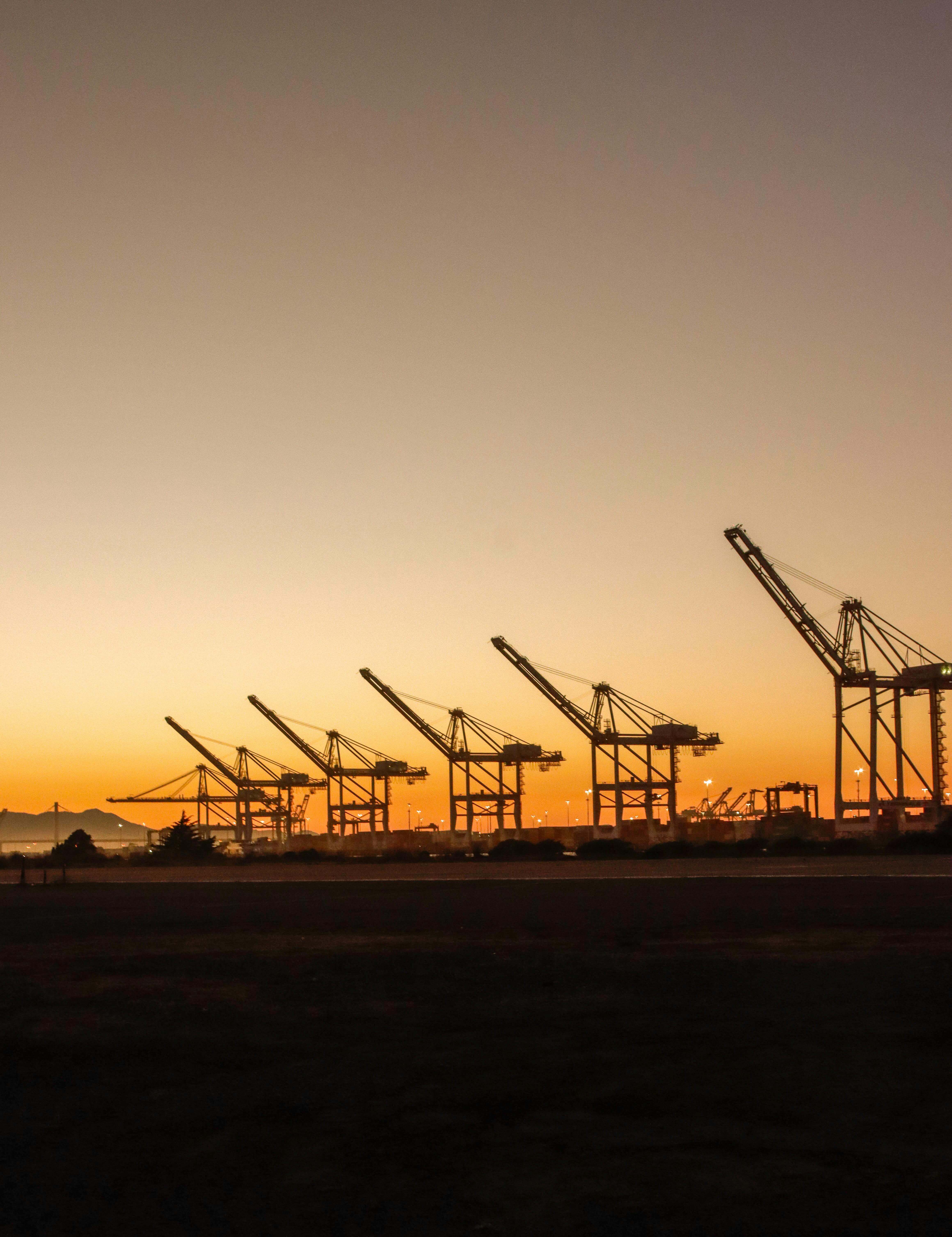Job Hopper