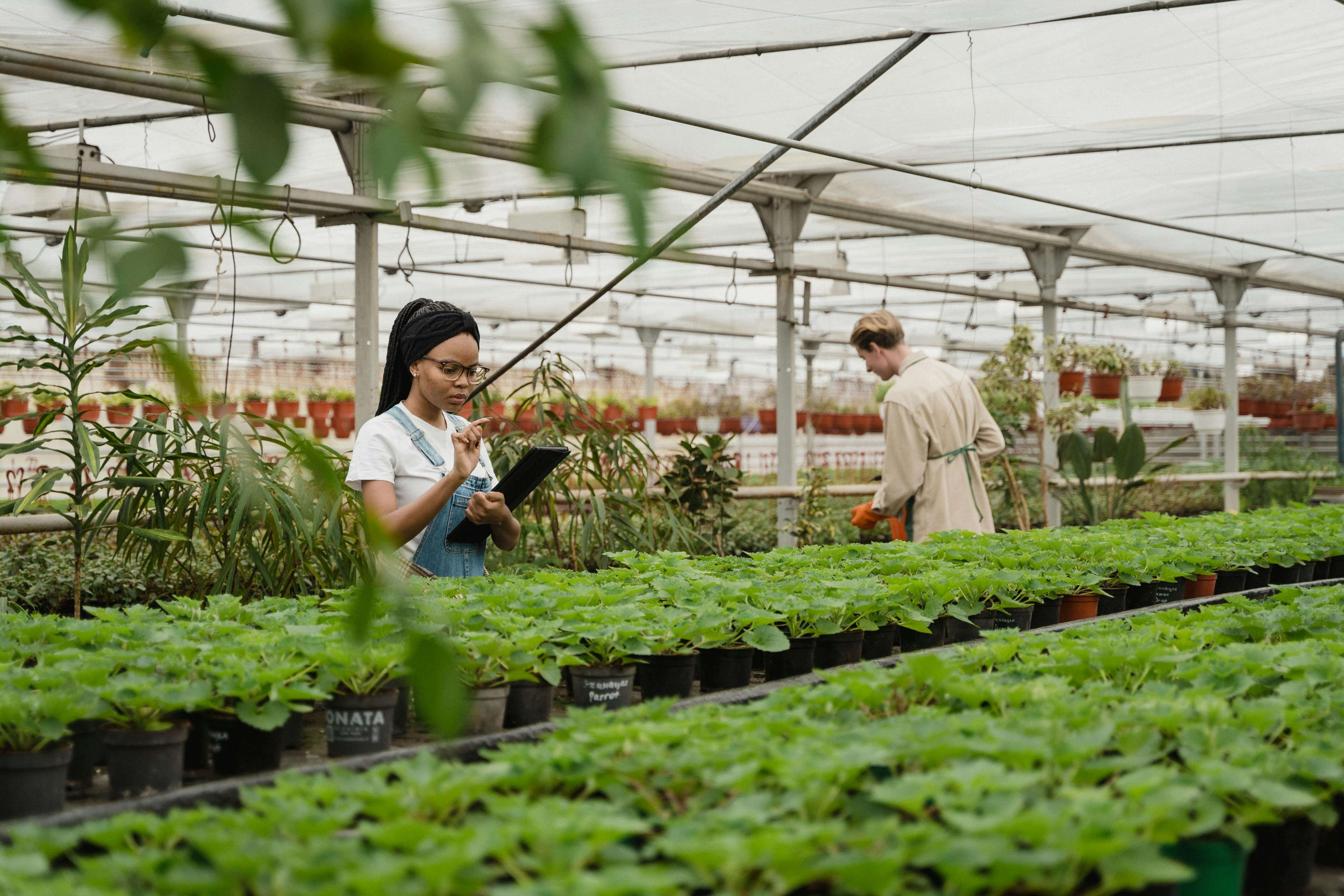 Job Hopper