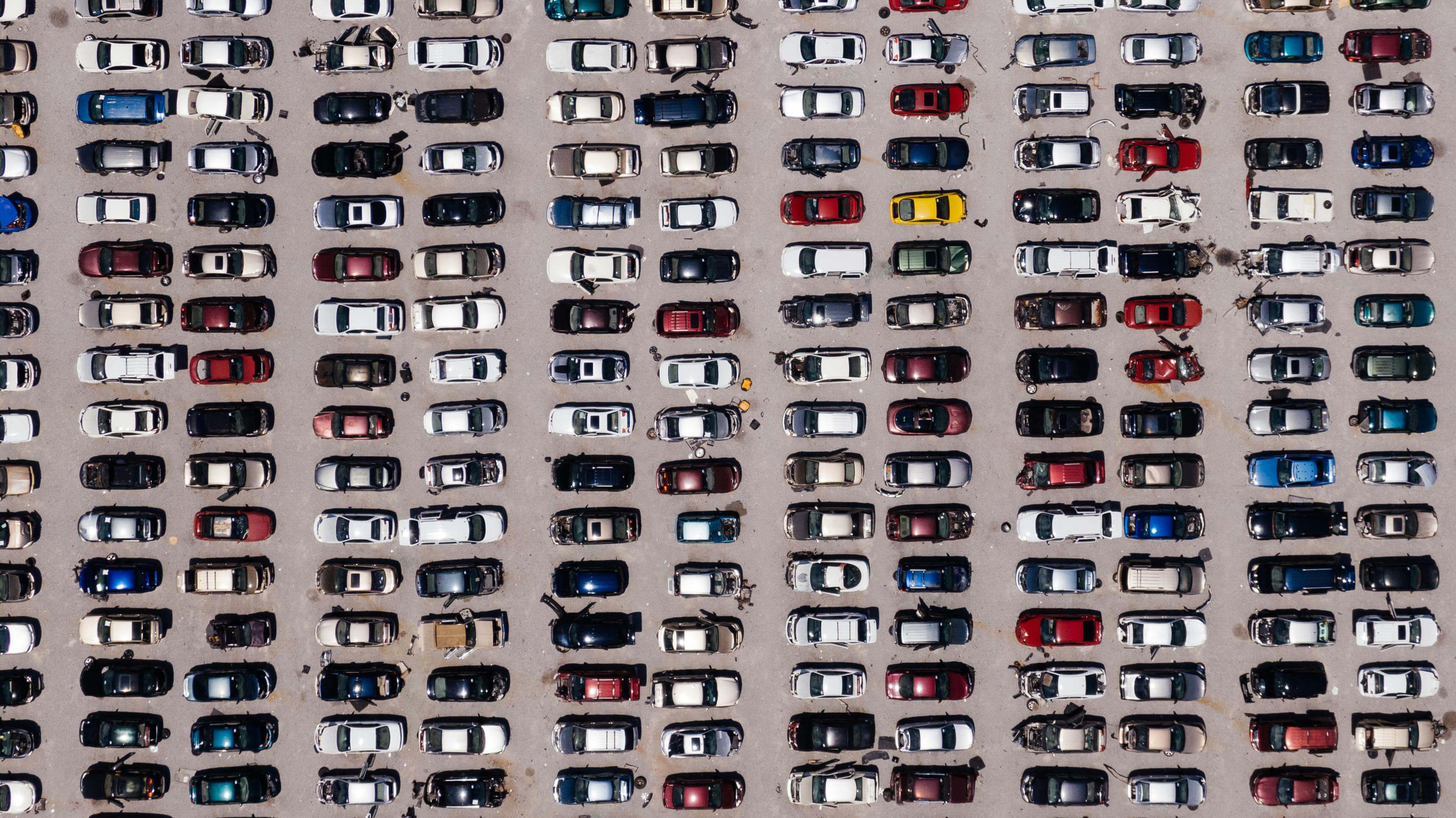 Job Hopper